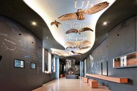Vogelsaal Naturhistorisches Museum