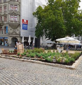 Kohlmarkt mit Stadtgarten